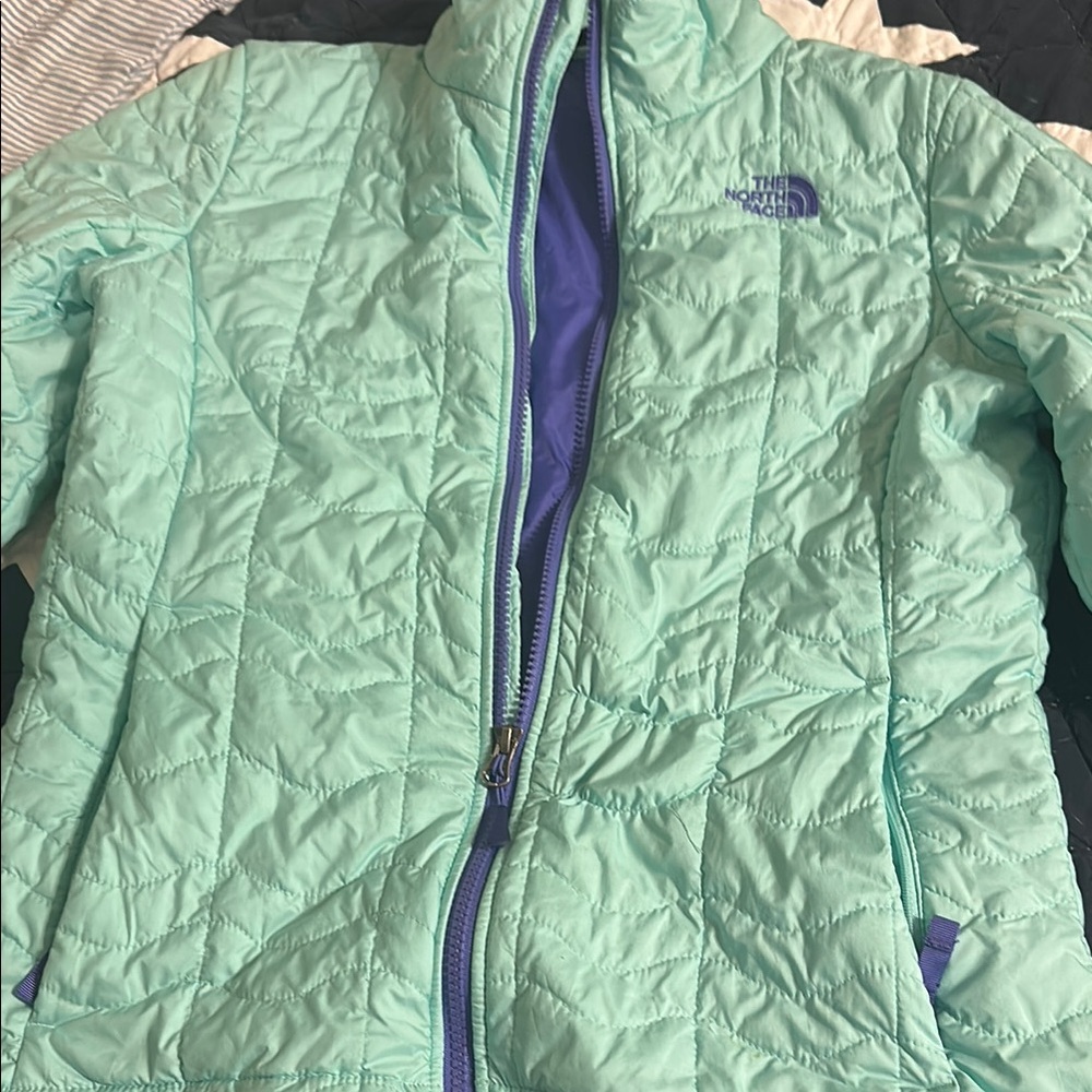 The North Face Green and Purple Puffer Jacket